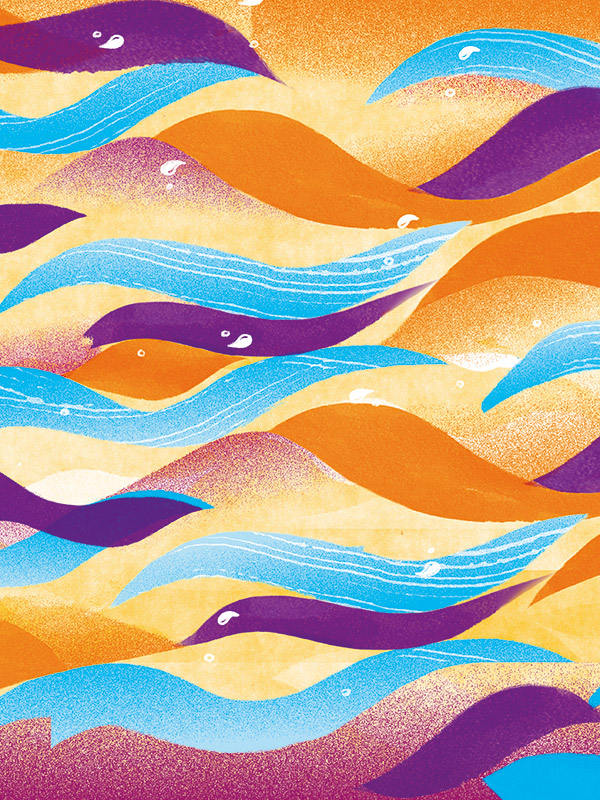 HD Mango and Passionfruit Bar